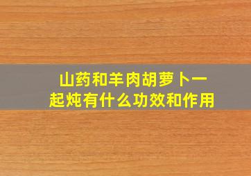 山药和羊肉胡萝卜一起炖有什么功效和作用