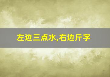 左边三点水,右边斤字