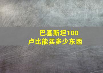 巴基斯坦100卢比能买多少东西