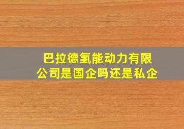 巴拉德氢能动力有限公司是国企吗还是私企