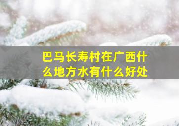 巴马长寿村在广西什么地方水有什么好处