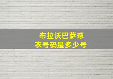 布拉沃巴萨球衣号码是多少号