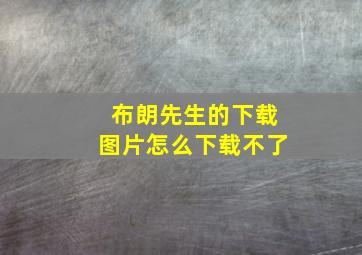 布朗先生的下载图片怎么下载不了