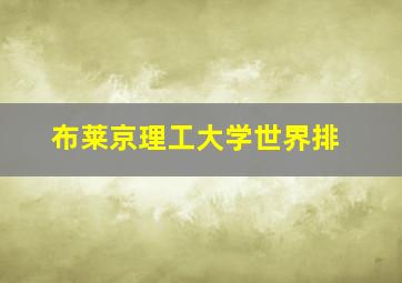 布莱京理工大学世界排