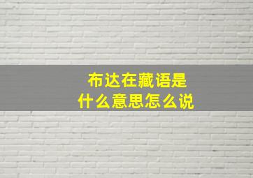 布达在藏语是什么意思怎么说