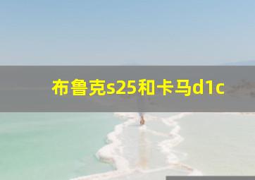 布鲁克s25和卡马d1c