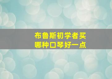 布鲁斯初学者买哪种口琴好一点