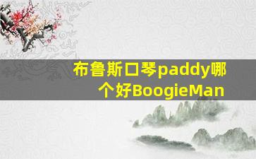 布鲁斯口琴paddy哪个好BoogieMan