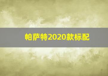 帕萨特2020款标配