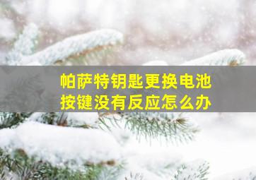 帕萨特钥匙更换电池按键没有反应怎么办