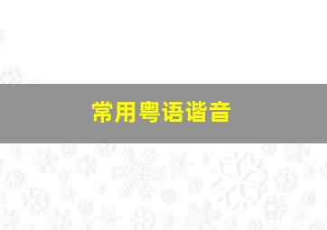 常用粤语谐音