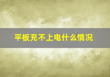 平板充不上电什么情况