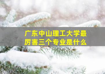 广东中山理工大学最厉害三个专业是什么