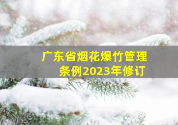 广东省烟花爆竹管理条例2023年修订