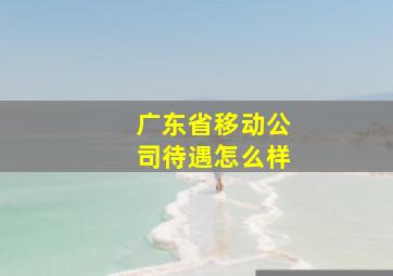 广东省移动公司待遇怎么样