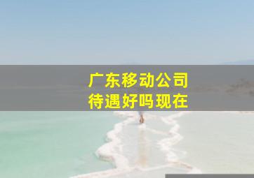 广东移动公司待遇好吗现在