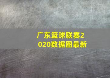 广东篮球联赛2020数据图最新