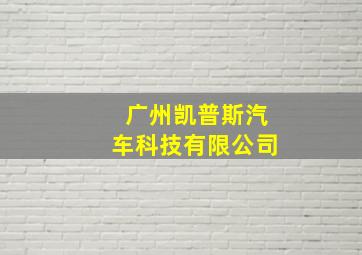 广州凯普斯汽车科技有限公司