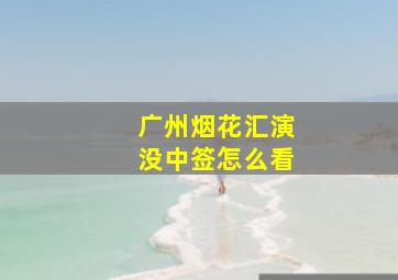 广州烟花汇演没中签怎么看