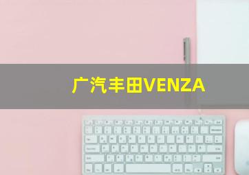 广汽丰田VENZA