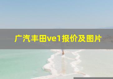 广汽丰田ve1报价及图片