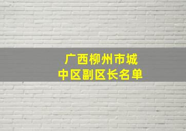 广西柳州市城中区副区长名单