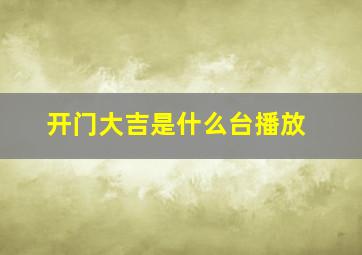 开门大吉是什么台播放