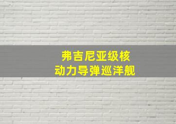 弗吉尼亚级核动力导弹巡洋舰