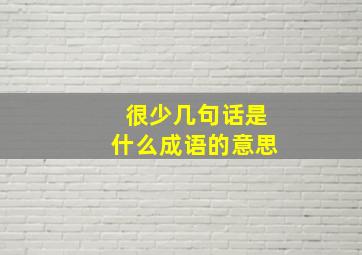 很少几句话是什么成语的意思