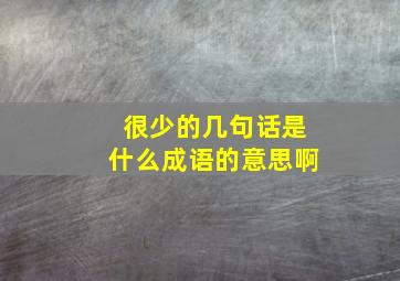 很少的几句话是什么成语的意思啊