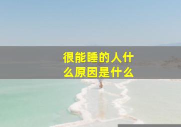 很能睡的人什么原因是什么