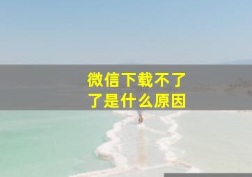 微信下载不了了是什么原因