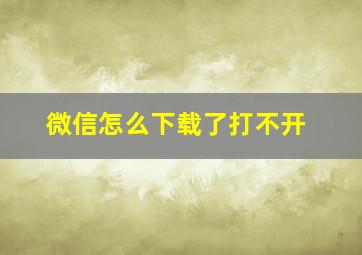 微信怎么下载了打不开