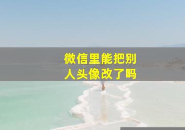 微信里能把别人头像改了吗