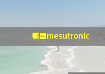 德国mesutronic