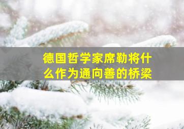 德国哲学家席勒将什么作为通向善的桥梁