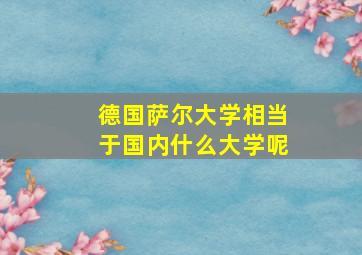 德国萨尔大学相当于国内什么大学呢