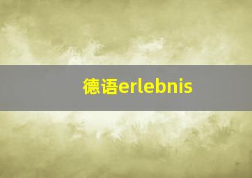 德语erlebnis