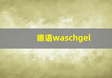 德语waschgel