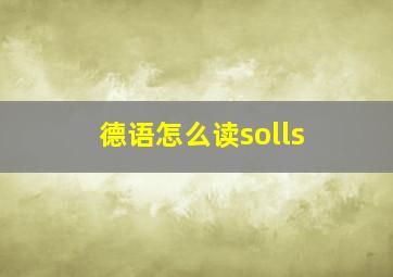 德语怎么读solls