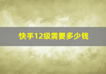 快手12级需要多少钱