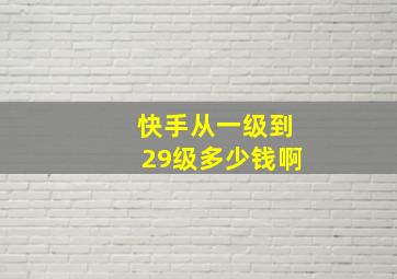 快手从一级到29级多少钱啊