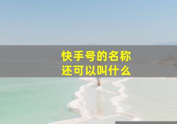 快手号的名称还可以叫什么