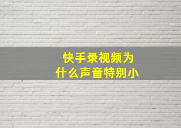 快手录视频为什么声音特别小