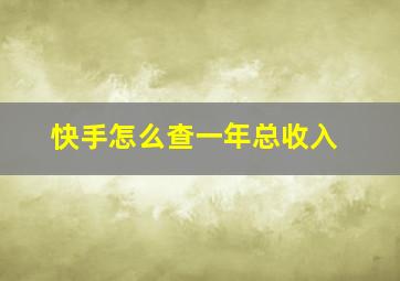 快手怎么查一年总收入