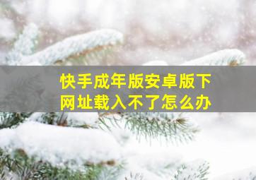 快手成年版安卓版下网址载入不了怎么办