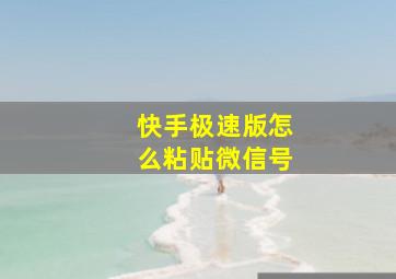 快手极速版怎么粘贴微信号