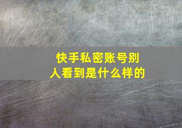 快手私密账号别人看到是什么样的