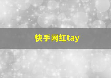 快手网红tay