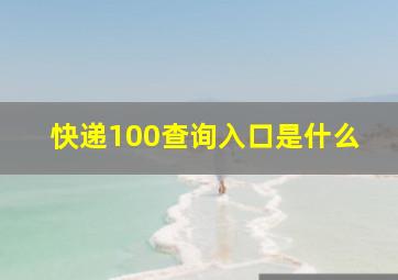 快递100查询入口是什么